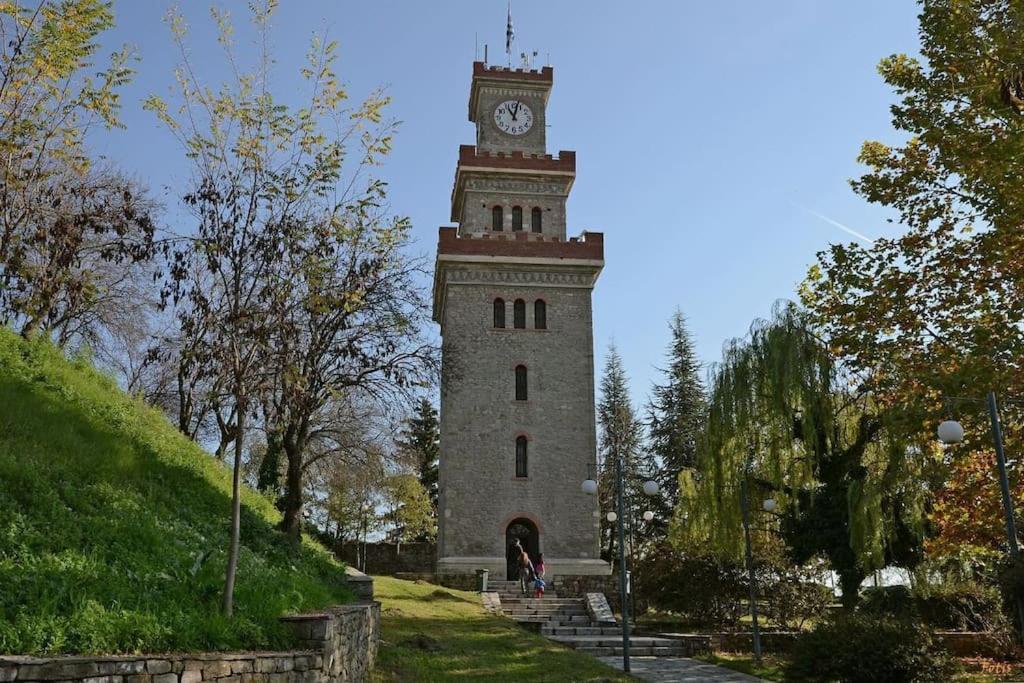 Παραδοσιακή Πέτρινη Κατοικία Στην Βλάχα Ελάτης エクステリア 写真