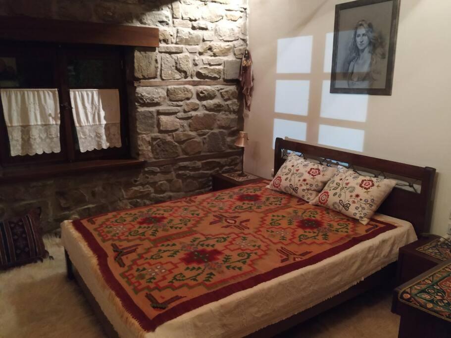 Παραδοσιακή Πέτρινη Κατοικία Στην Βλάχα Ελάτης エクステリア 写真