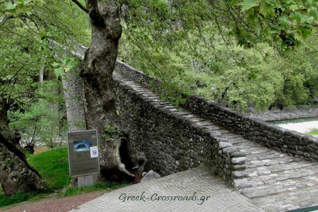 Παραδοσιακή Πέτρινη Κατοικία Στην Βλάχα Ελάτης エクステリア 写真