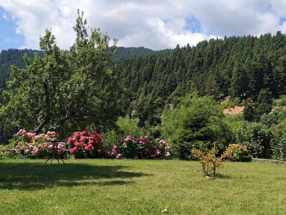 Παραδοσιακή Πέτρινη Κατοικία Στην Βλάχα Ελάτης エクステリア 写真