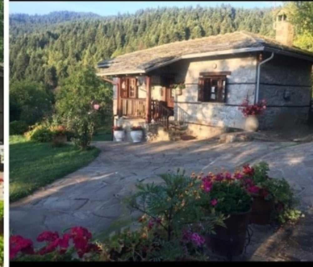 Παραδοσιακή Πέτρινη Κατοικία Στην Βλάχα Ελάτης エクステリア 写真